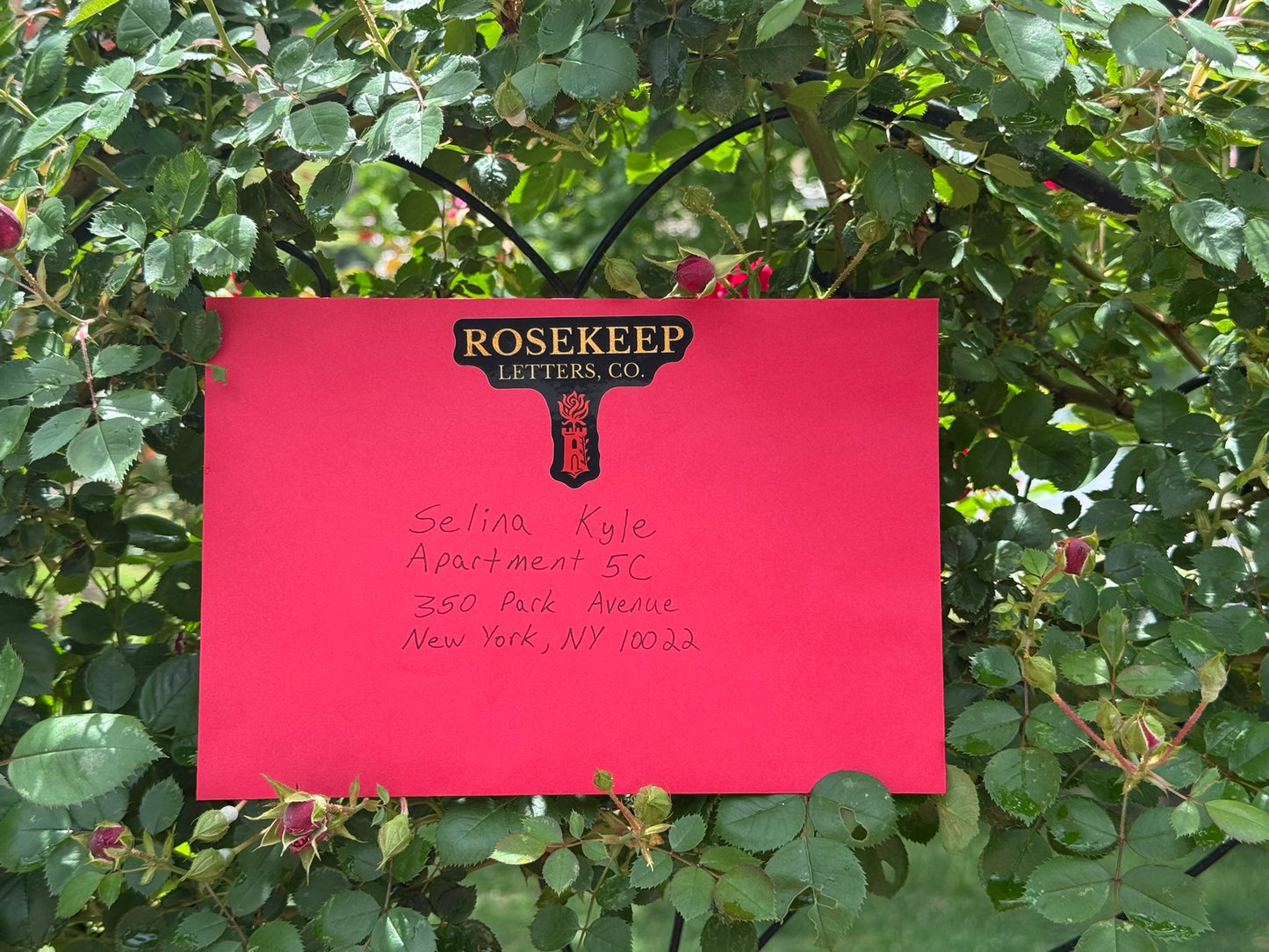 RoseKeep Letter – A Rose That Lasts
