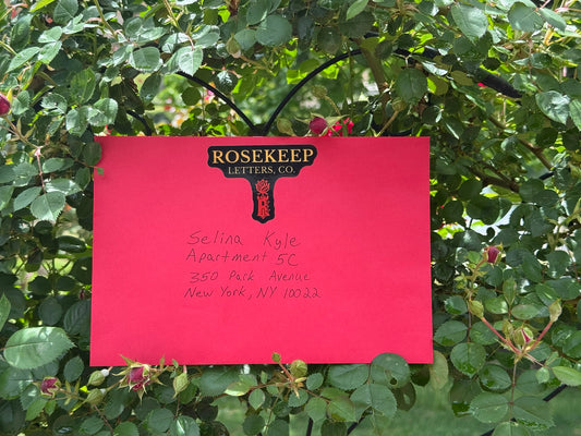 RoseKeep Letter – A Rose That Lasts
